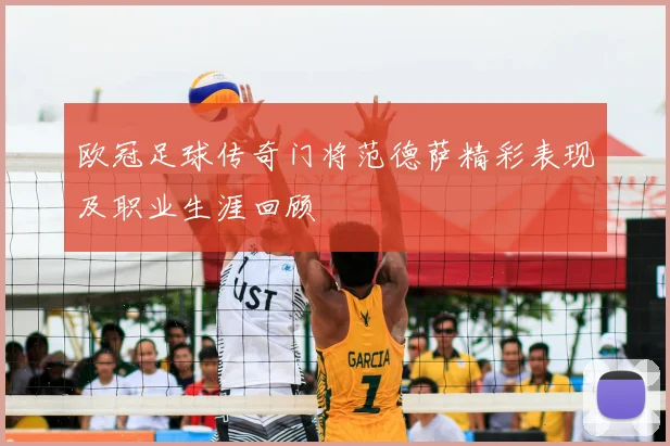欧冠足球传奇门将范德萨精彩表现及职业生涯回顾